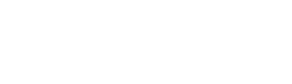 Logo Pinnacle